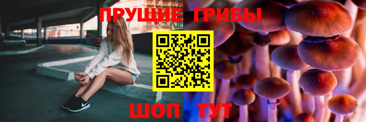 Егорьевск  Галлюциногенные грибы Cubensis  Вход с VPN 